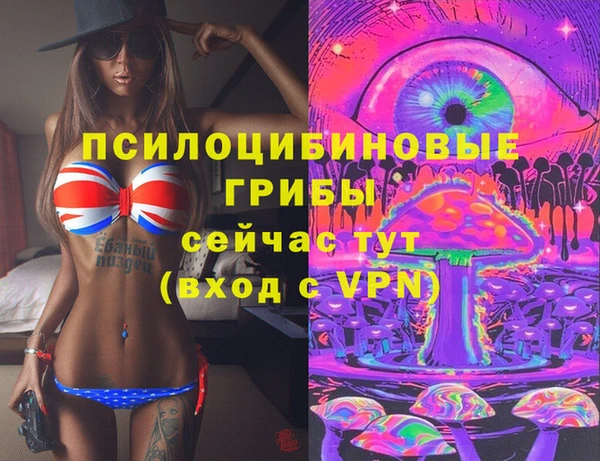 PSILOCYBIN Абдулино