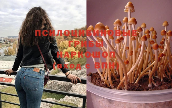 jwh Алзамай