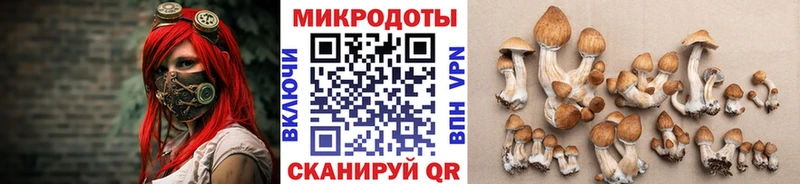 Псилоцибиновые грибы прущие грибы  гидра ССЫЛКА  Алексеевка 